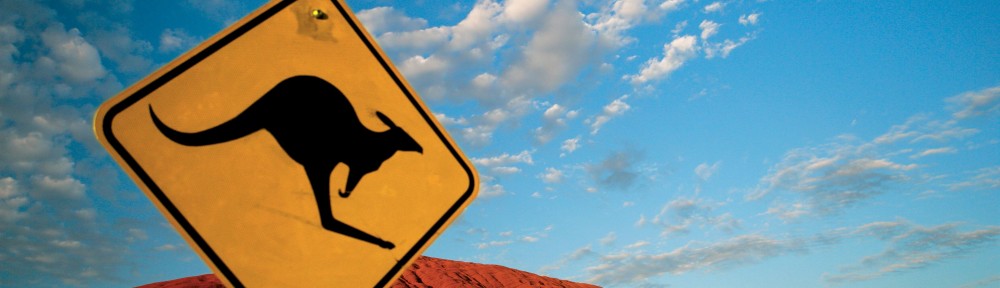 Kangaroos - The Symbol of Australia | Visa First Blog