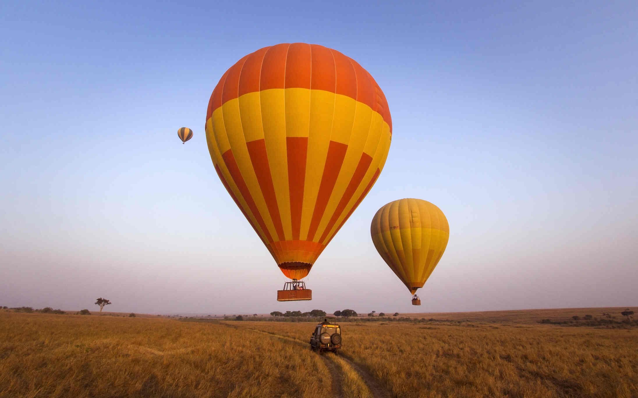 Hot air balloons float gracefully over the vast plains of the Masai Mara in Kenya at sunrise