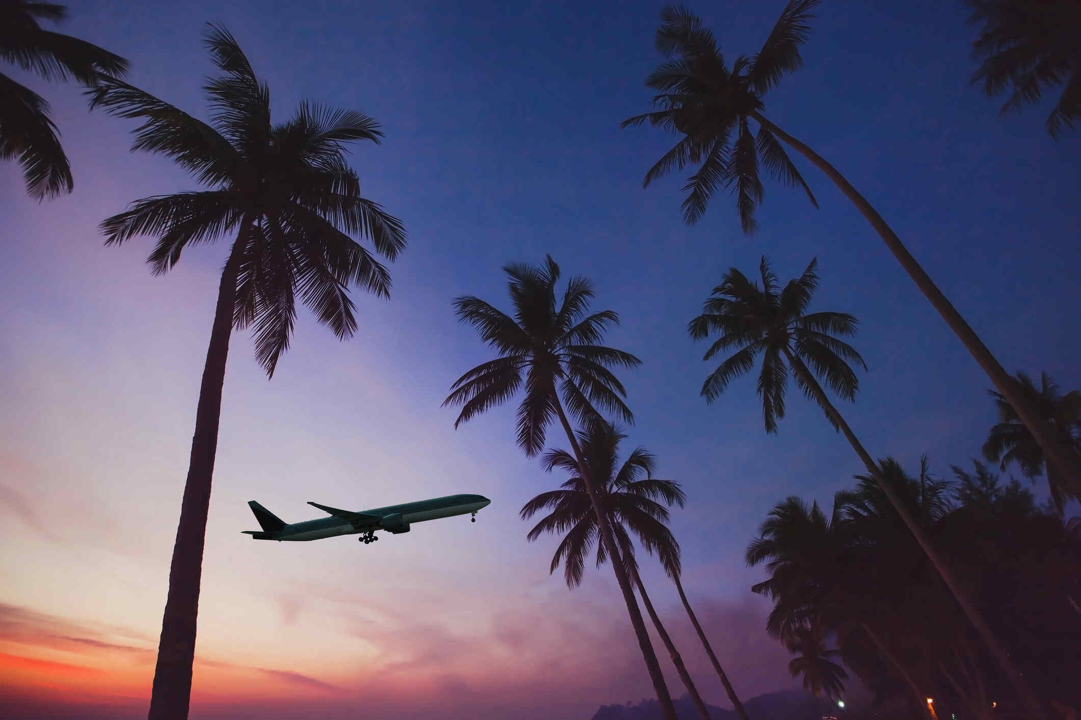 An airplane flying low over a beach at sunset, with tall palm trees silhouetted against the colorful sky.