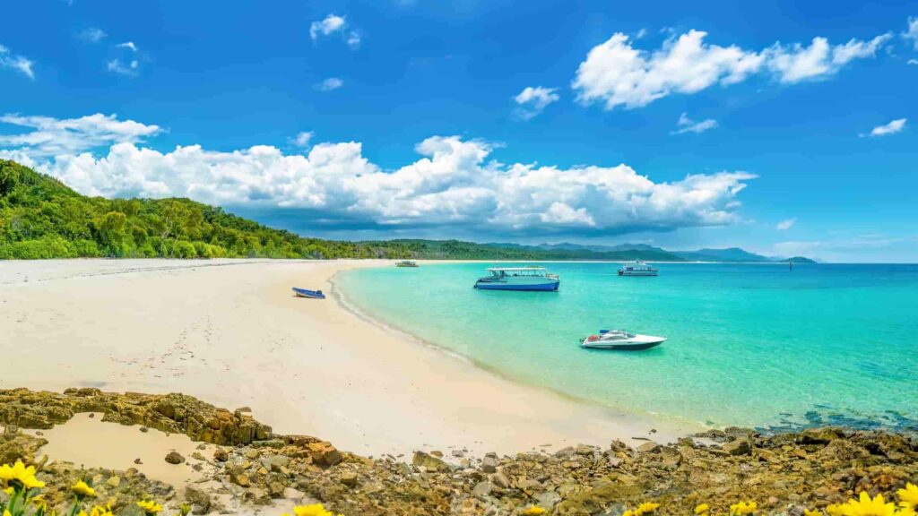 Beautiful beach scene in Australia, showcasing the country's stunning coastline